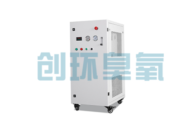 东光比传统换水更高效？臭氧发生器在石斑鱼养殖中的水质净化原理解析